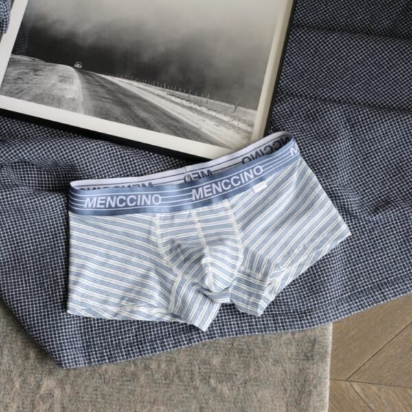 Menccino Cotton Striped Boxer