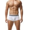 Cotton Boxer Briefs